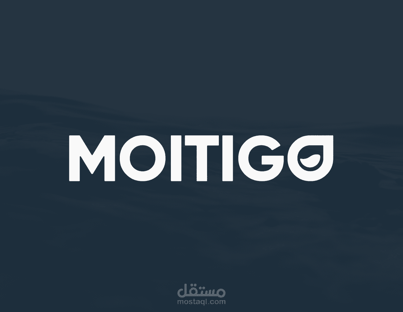 MOITIGO Project
