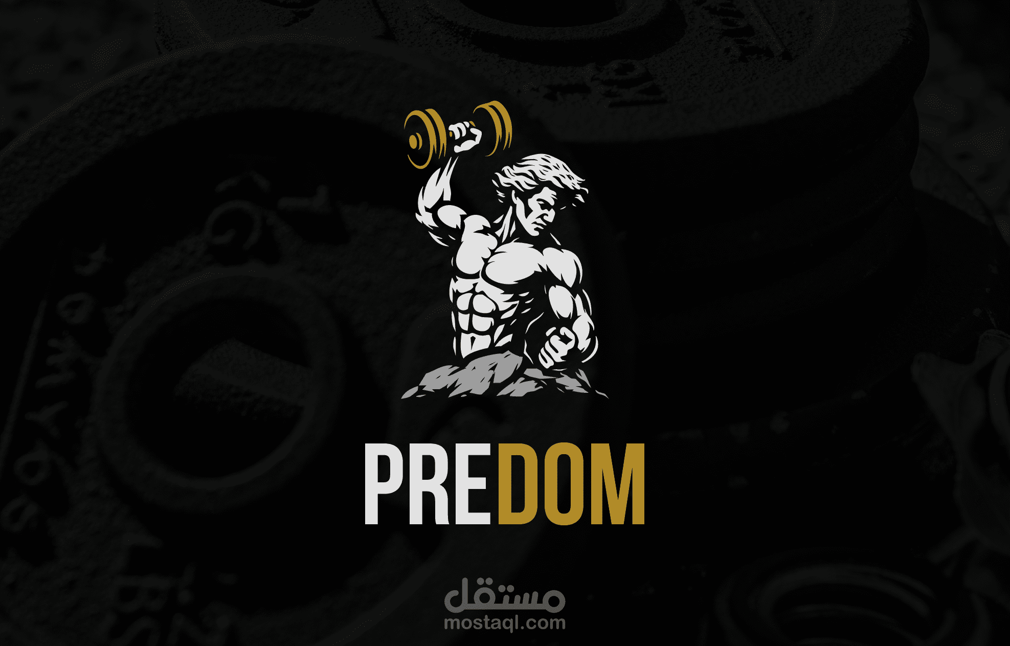 PREDOM Project
