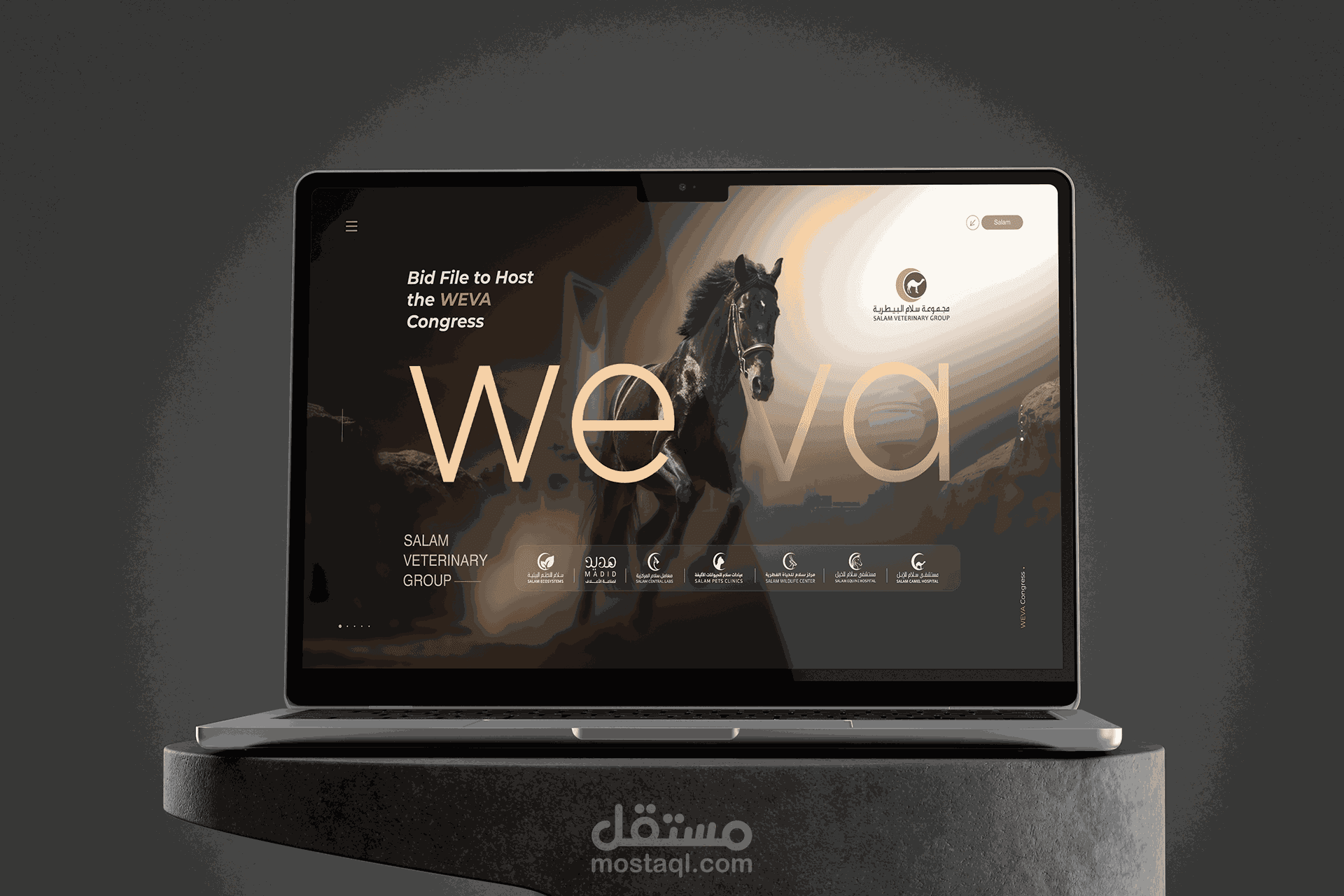 عرض تقديمي presentation I