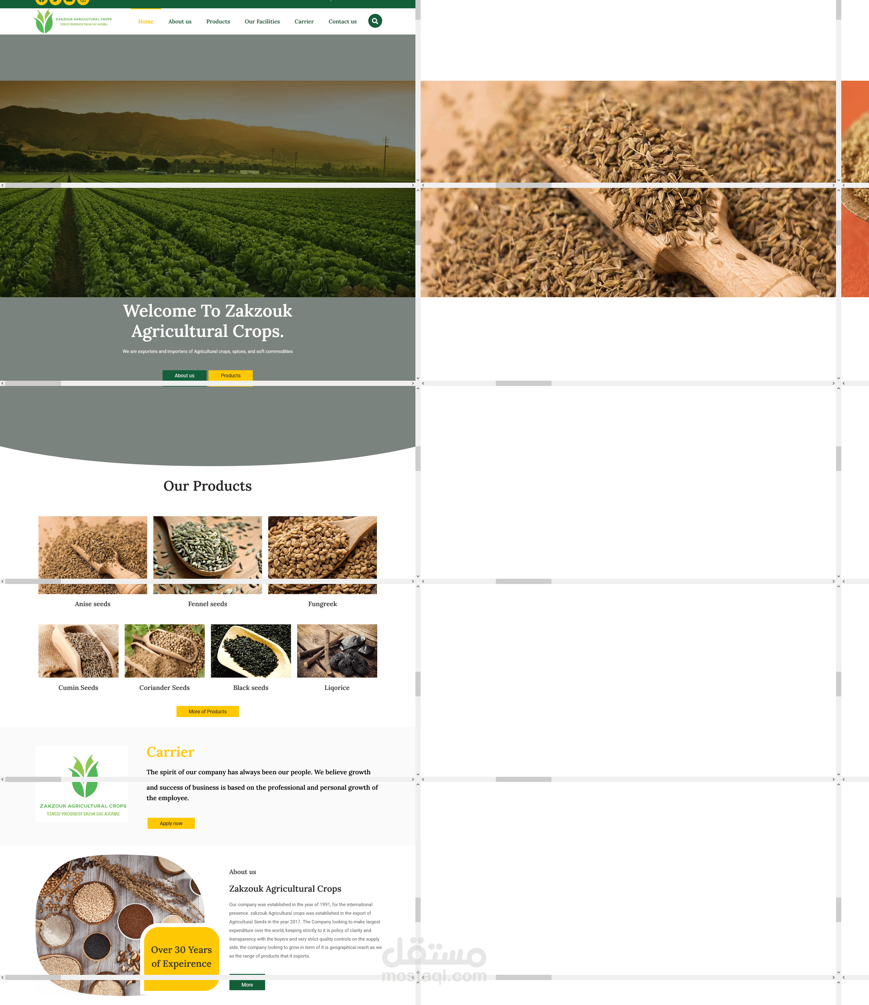 Zakzouk-Agricultural-Crops-–-Exporters-and-importers-of-Agricultural