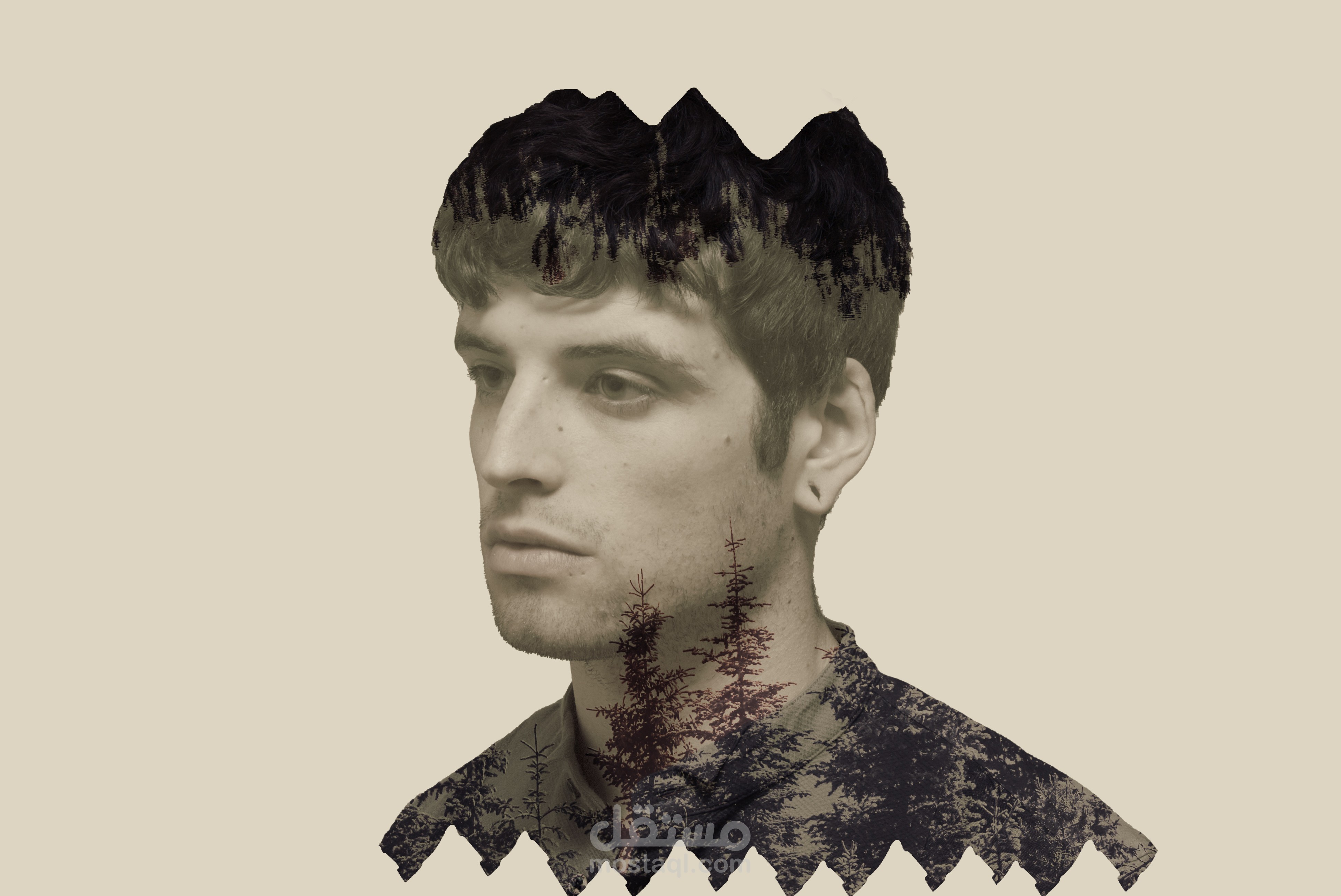 تعديل الصور