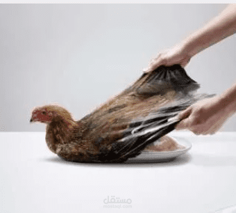 إعلان عن غلاف بلاستيك من أرو