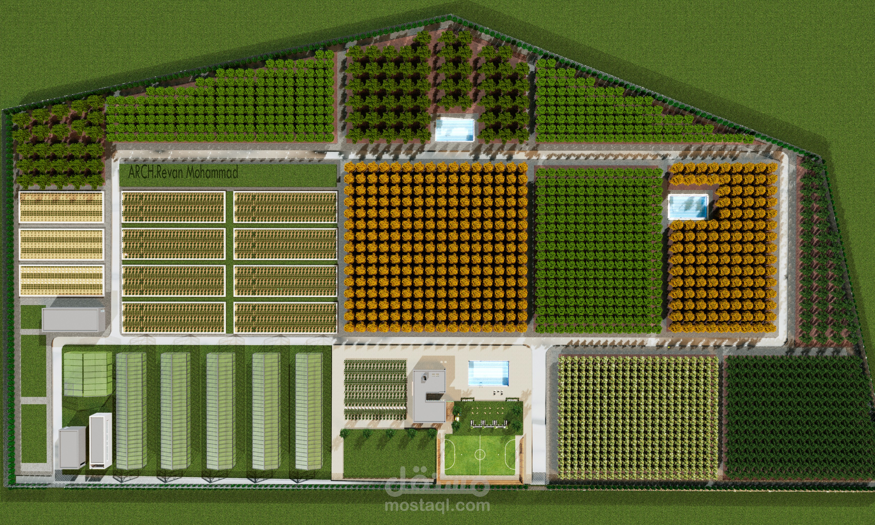 دراسة أرض زراعية استثمارية