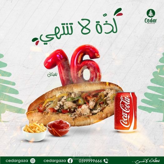 تصميم اعلانات للسوشل ميديا