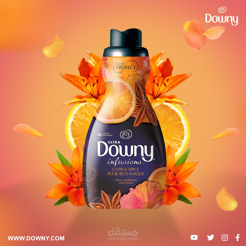 تصميم سوشيال ميديا داوني