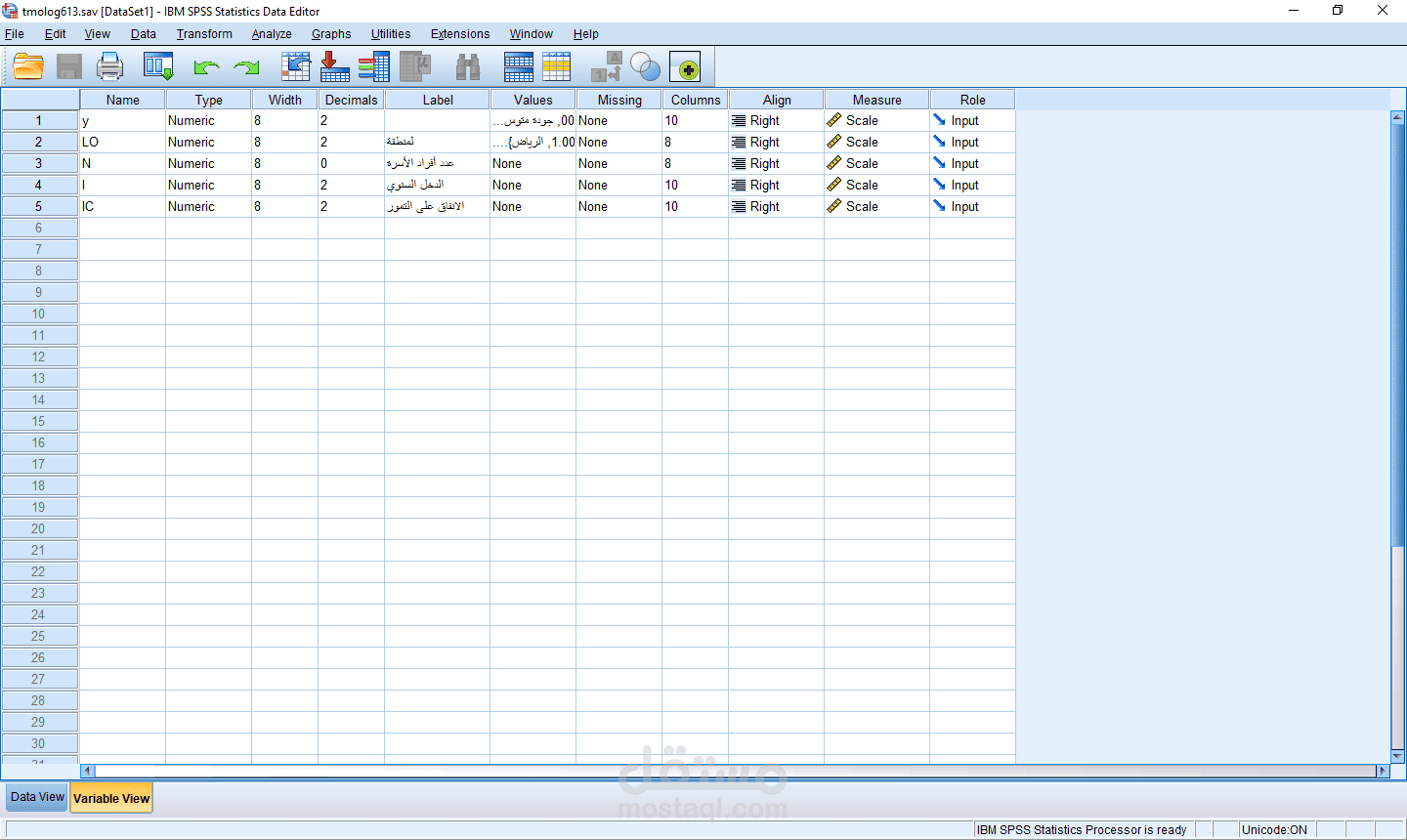 data entry in SPSS