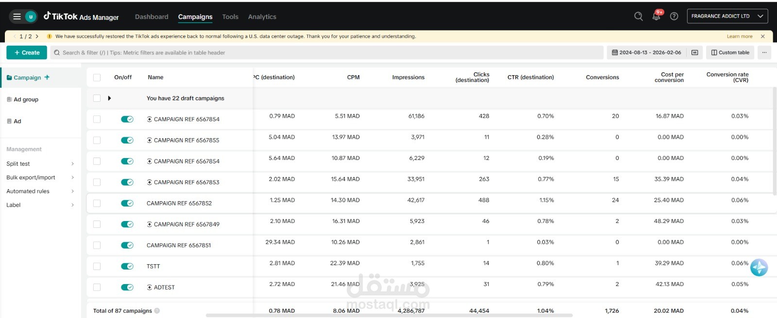 حملة إعلانية ناجحة على تيكتوك