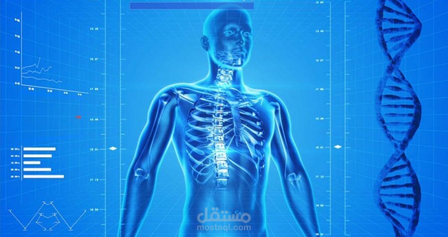 15 Amazing facts about the human body
