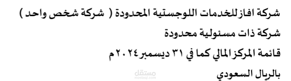 مدقق حسابات