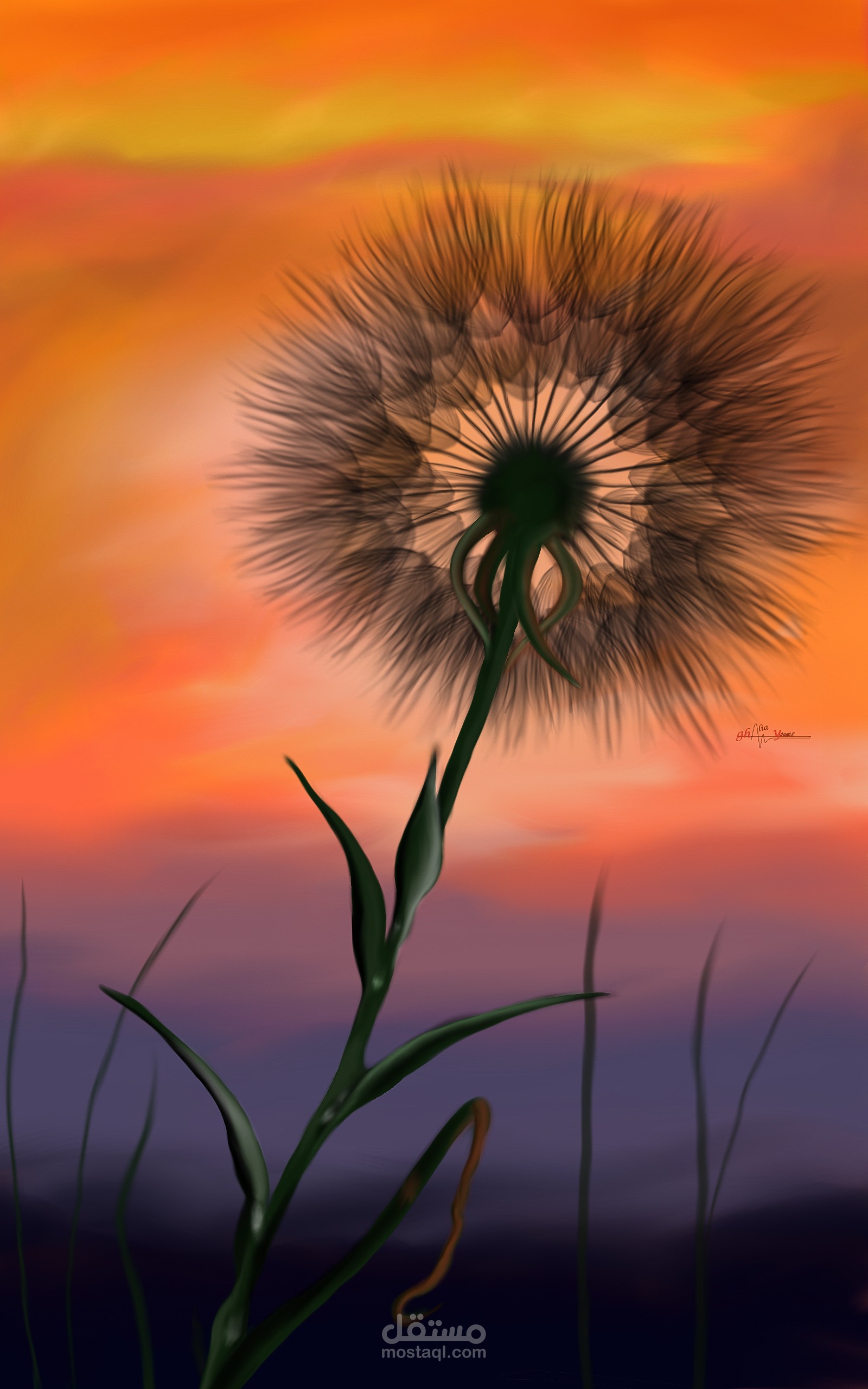 Sunset love
