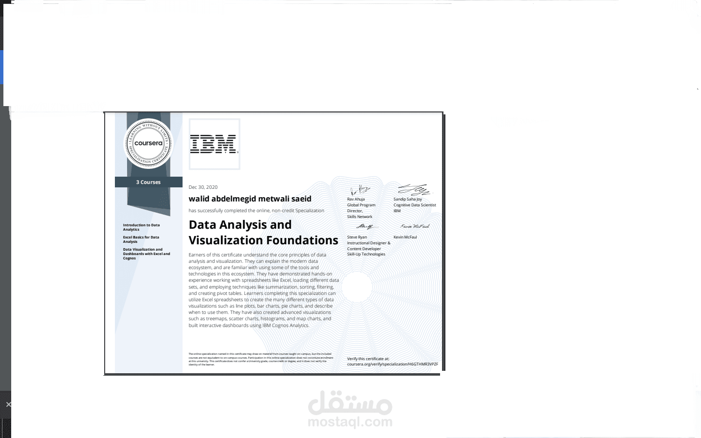 IBM Data Analysis and Visualization Foundations