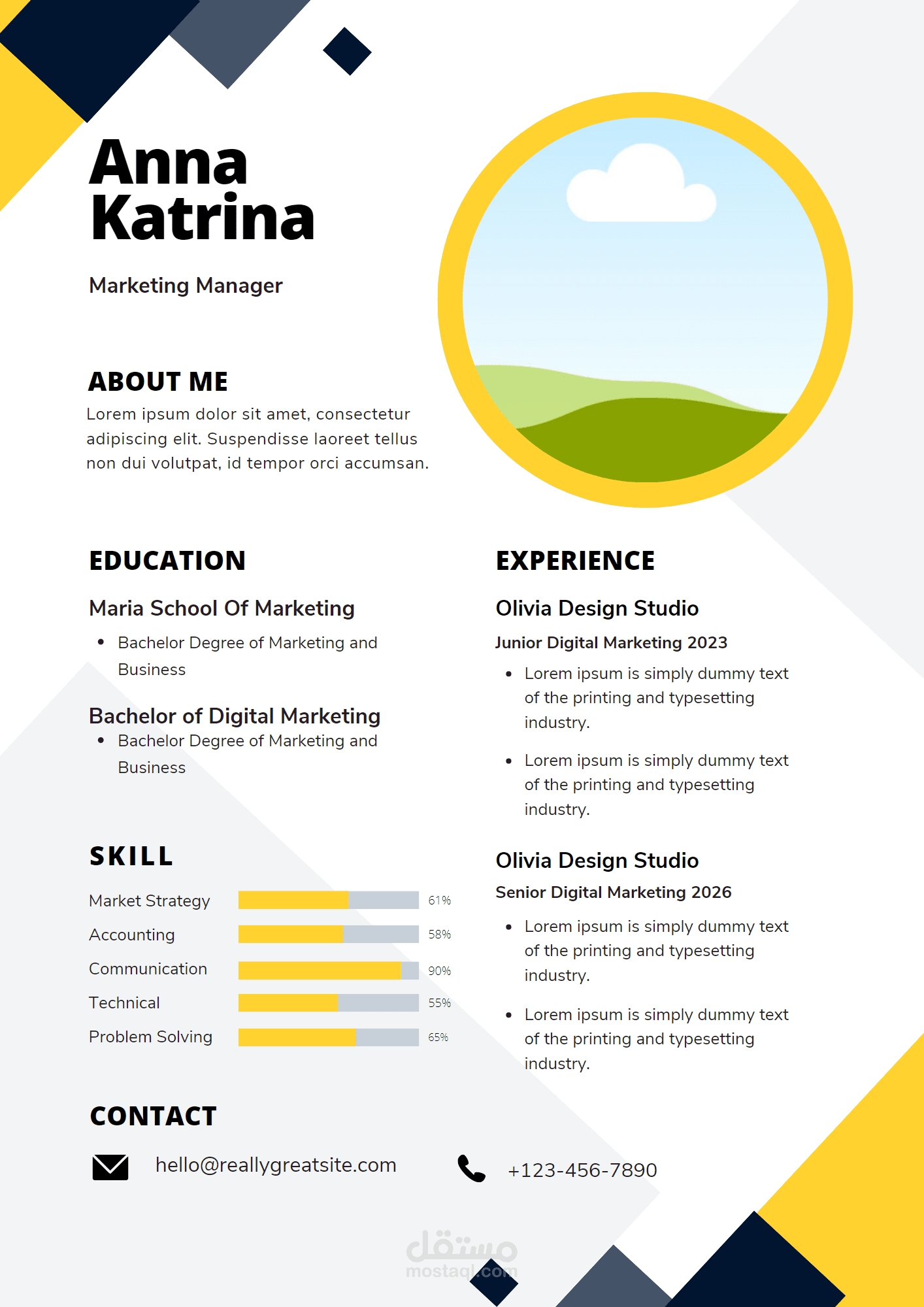 Professional Resume2