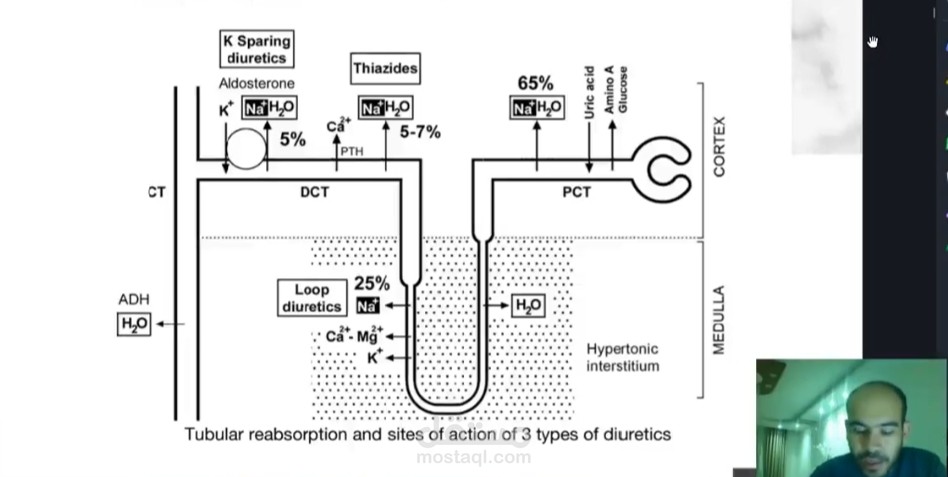 Diuretics pharmacology