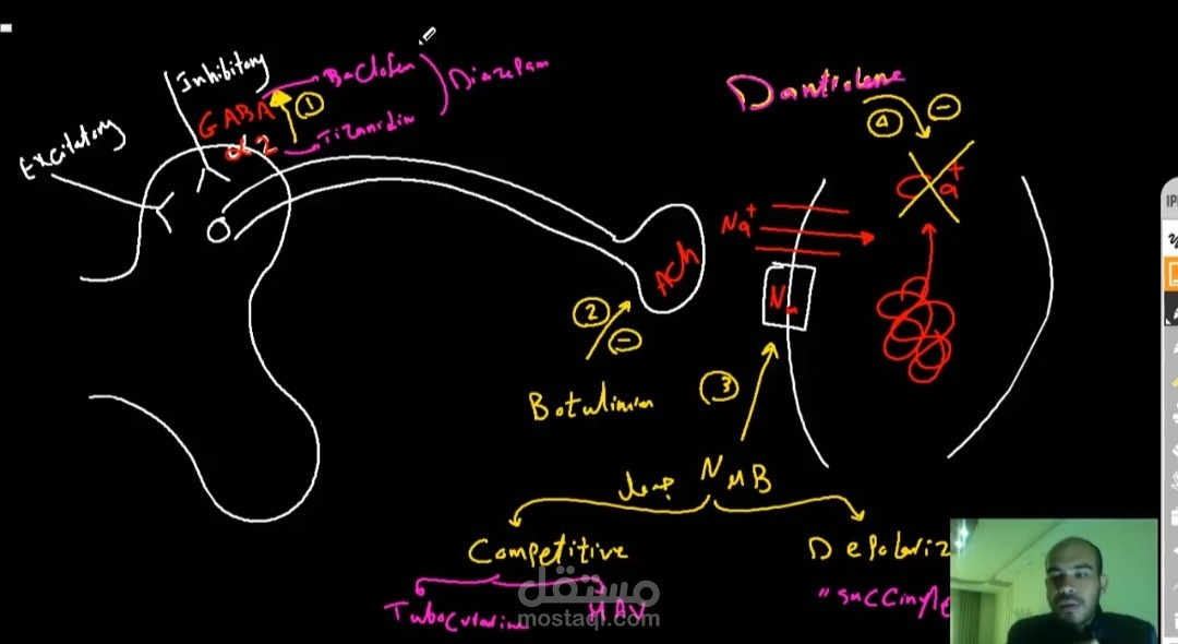 Neuromuscular blockers pharmacology