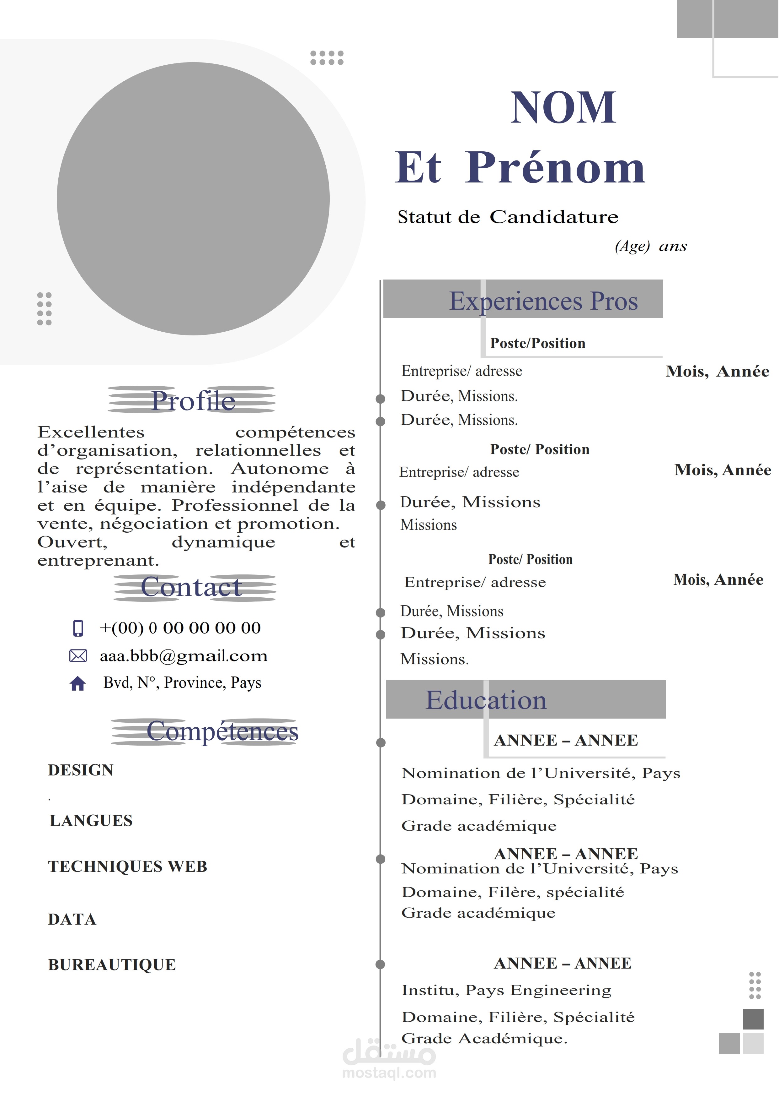 السيرة الذاتية باللغة الفرنسية  Curriculum Vitae FR