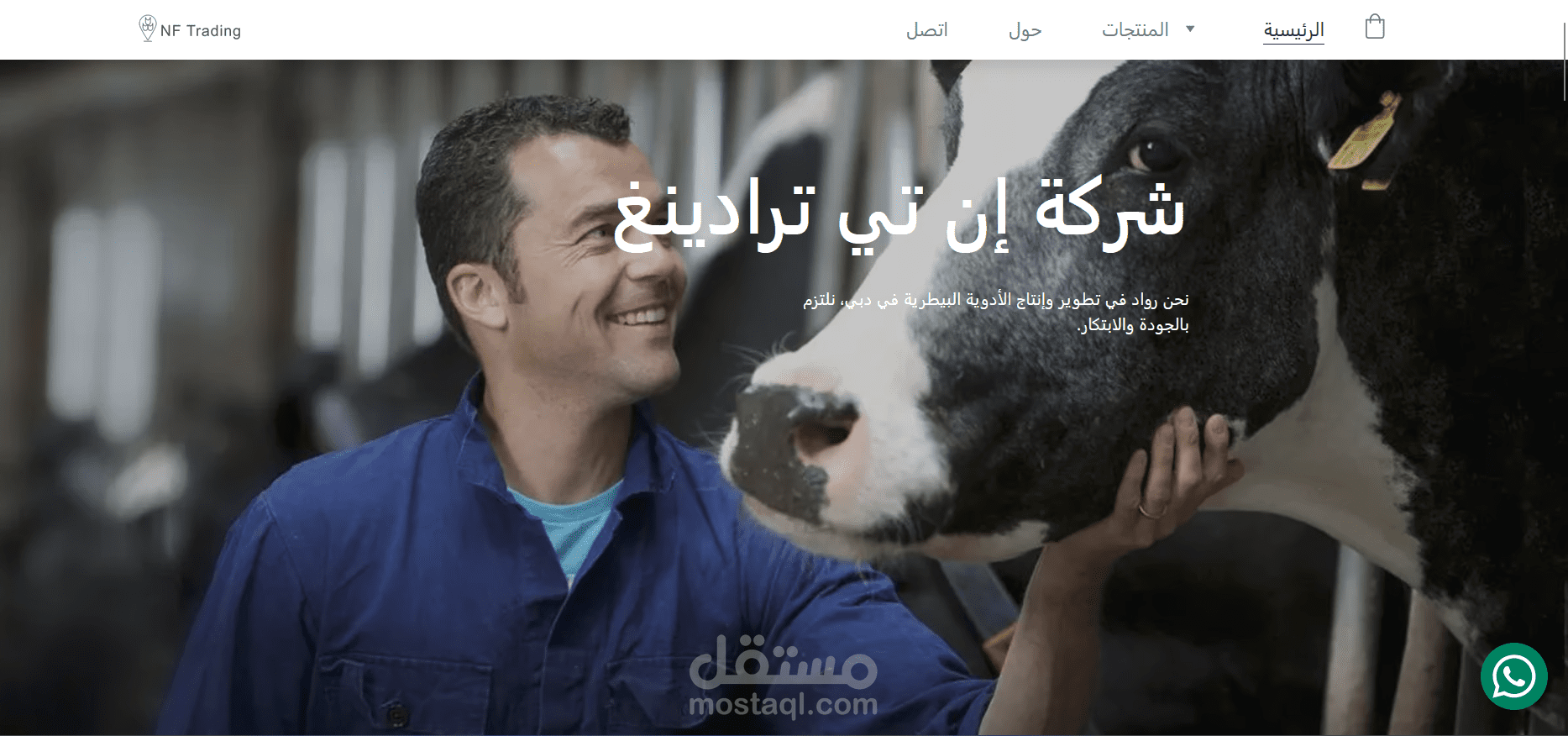 انشاء موقع بشكل مستعجل على الانترنت لشركة في دبي
