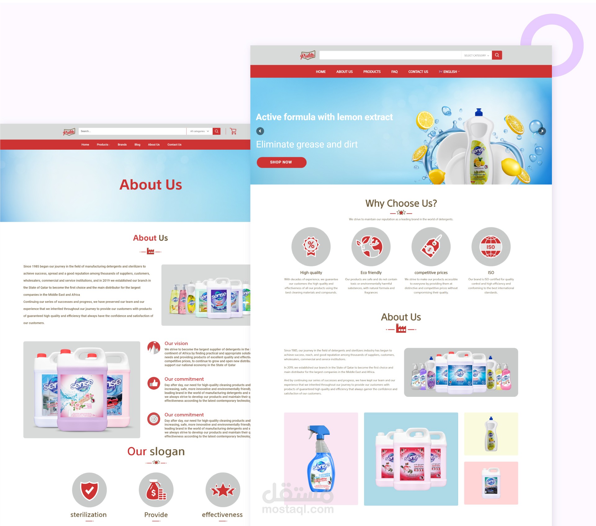 Website Design for Pulito Detergent