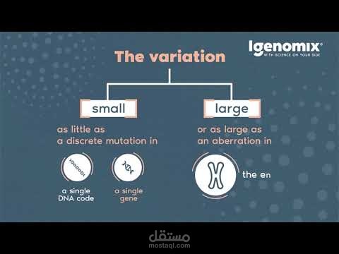 من اعمالي موشن جرافيك لشركة igenomix