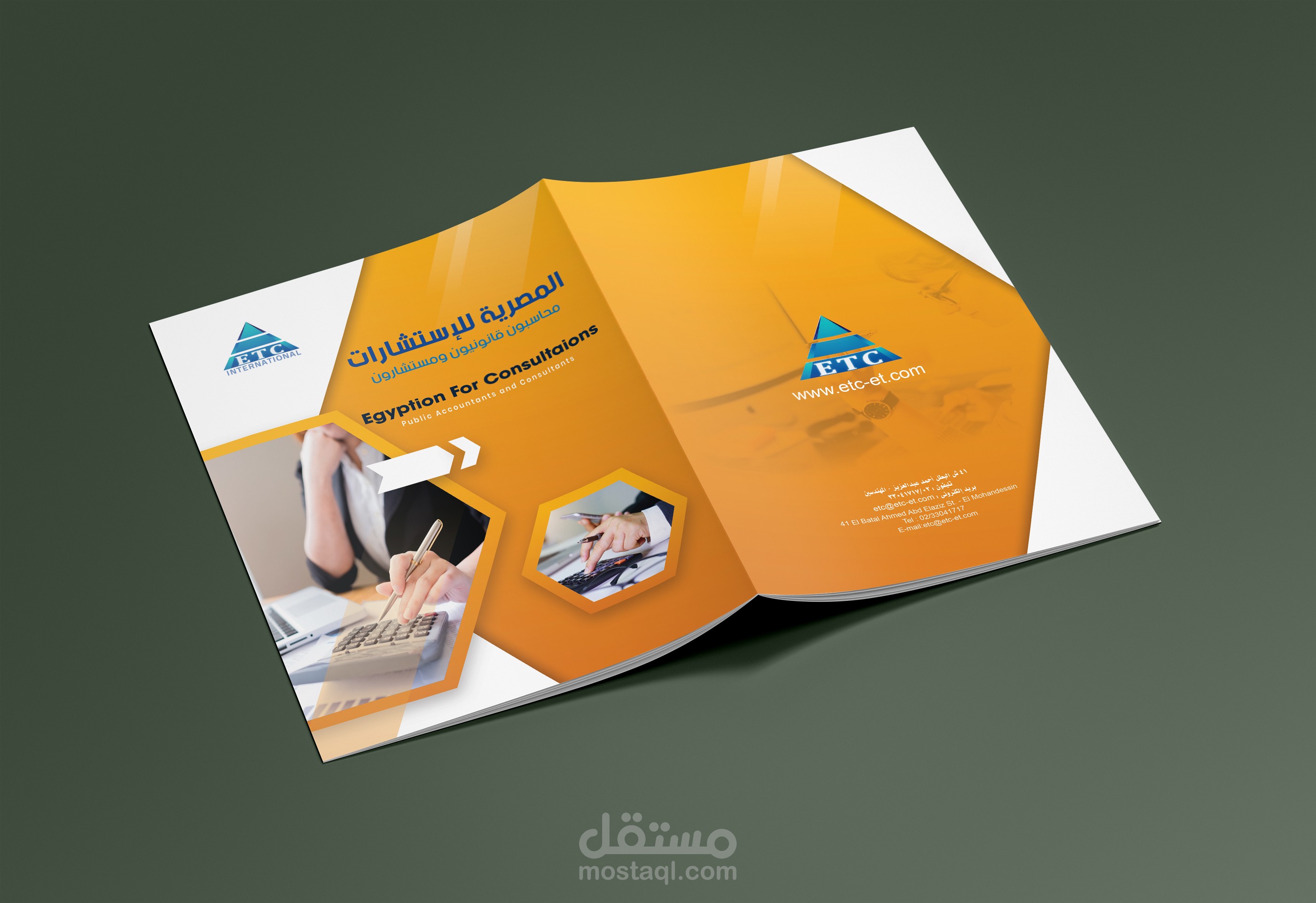 المصرية الاستشارية