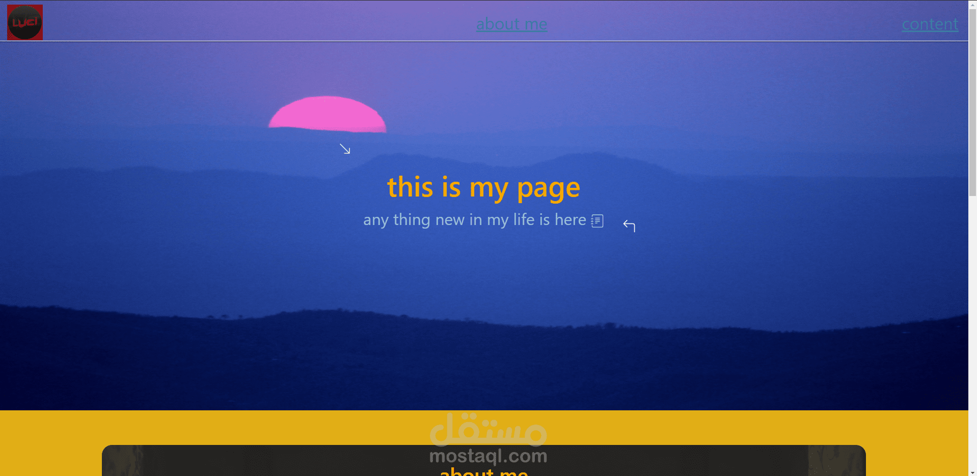 portfolio