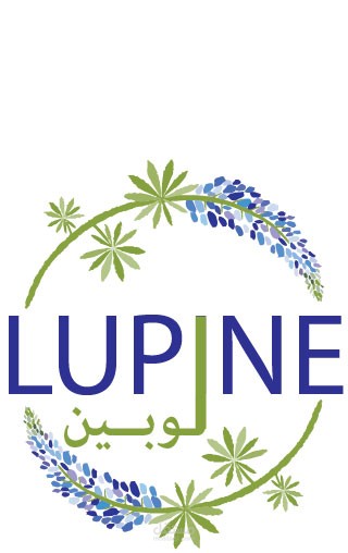 تصميم شعار ( لوجو )