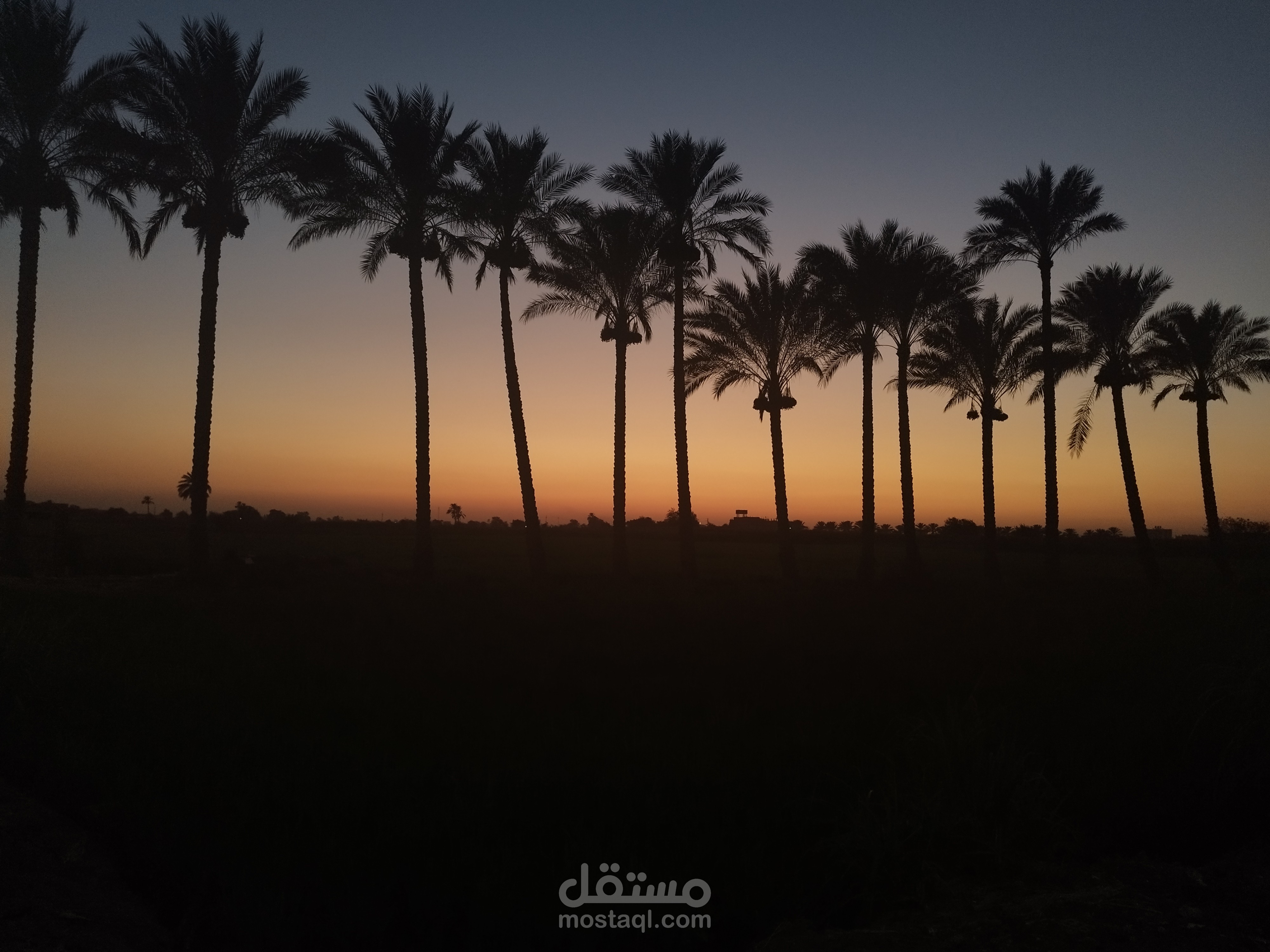 التصوير الاحترافي