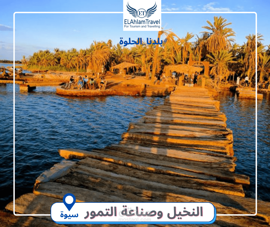 تصميمى  لشركة الاحلام ترافيل