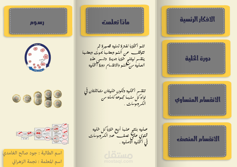 مطوية